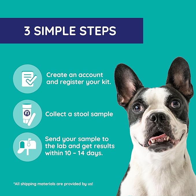 Digestion & Detox At-Home Test Kit - Expert Panel Insights for Dog's Microbiome and Digestive Health - Essential Pet Supply for Overall Wellness
