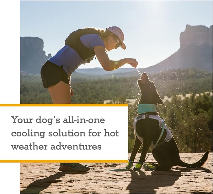 Ruffwear, Swamp Cooler Dog Harness, Lightweight with Evaporative Cooling for Hot Weather, Graphite Gray, Large/X-Large