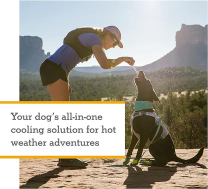 Ruffwear, Swamp Cooler Dog Harness, Lightweight with Evaporative Cooling for Hot Weather, Graphite Gray, Large/X-Large
