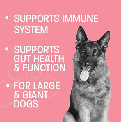 Dog Probiotic Chews for Dogs - Support Healthy Digestion Dog Probiotics and Digestive Enzymes for Gut Health for Dogs - for Traveling, Kenneling and Training - Large/Giant Dog - 30 ct