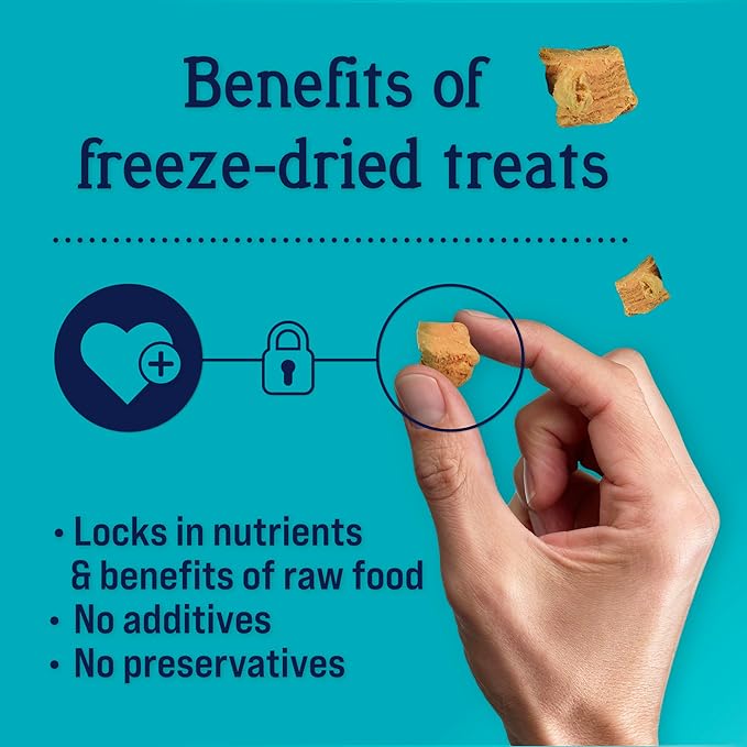 Stewart Freeze Dried Dog Treats, Wild Salmon, 9.5 oz Grain Free & Gluten Free, Resealable Tub, Single Ingredient, training treat in Beef Liver, Salmon, Chicken Liver & Chicken Breast 4, 14, 21 oz