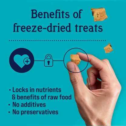 Stewart Freeze Dried Dog Treats, Wild Salmon, 9.5 oz Grain Free & Gluten Free, Resealable Tub, Single Ingredient, training treat in Beef Liver, Salmon, Chicken Liver & Chicken Breast 4, 14, 21 oz