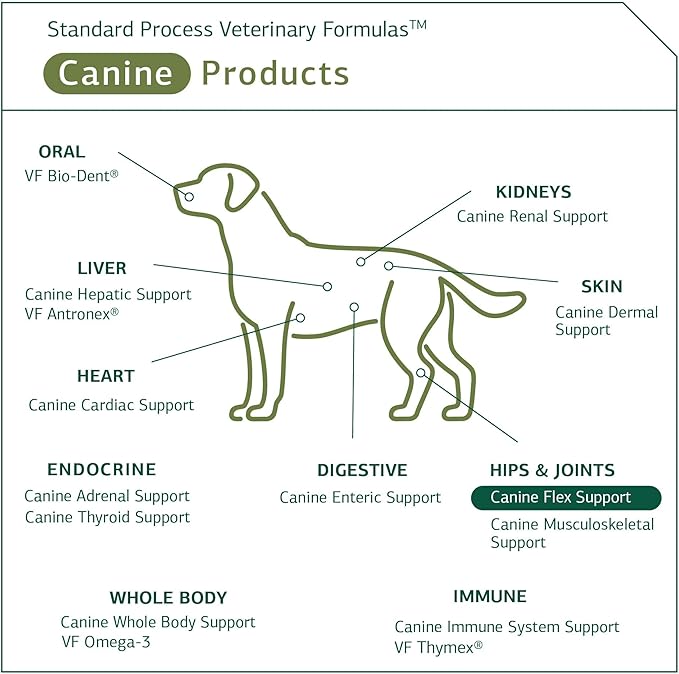 Standard Process - Canine Flex Support - Joint Supplement for Dogs - 100 Chewable Wafers