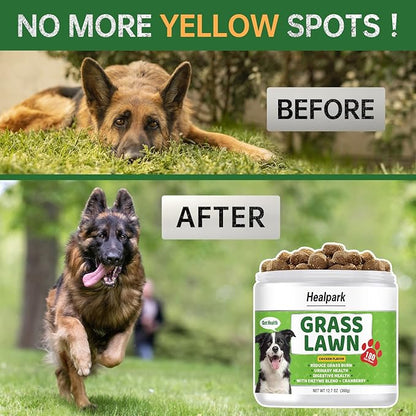 Grass Burn Spot Chews for Dogs - Dog Pee Lawn Spot Saver Caused by Dog Urine - Grass Treatment Rocks - DL-Methionine + Cranberry + Digestive Enzymes - Dog Urine Neutralizer for Lawn - 180 Soft Treats
