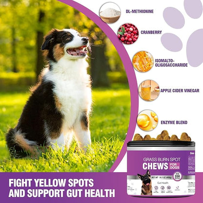 Grass Burn Spot Chews for Dogs Dog Pee Grass Neutralizer 200 Green Grass Dog Chews Dog Pee Lawn Spot Saver for Grass Burn Spots Dog Urine Neutralizer for Lawns with Probiotics Digestive Enzymes