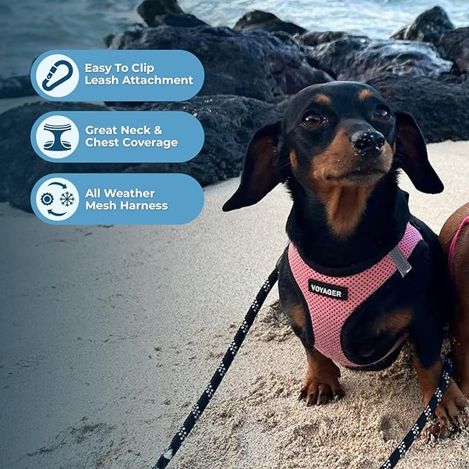 Voyager Step-In Air Dog Harness - All Weather Mesh Step In Vest Harness For Small And Medium Dogs By Best Pet Supplies - Pink Base, S