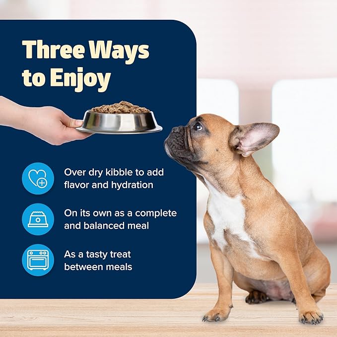 Blue Buffalo Freedom Grain-Free Wet Dog Food, Free of Glutens & Artificial Preservatives, Made with Natural Ingredients, Chicken Recipe, 12.5-oz. Cans (12 Count)