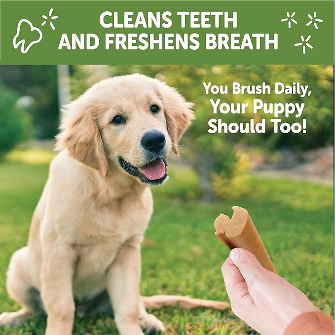 Whimzees by Wellness Dental Treats for Puppies, Natural, Grain Free, Helps to Clean Teeth, Freshen Breath, Reduce Tartar & Plaque, Longer Lasting Chew (M/L)