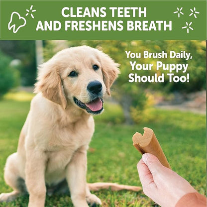 Whimzees by Wellness Dental Treats for Puppies, Natural, Grain Free, Helps to Clean Teeth, Freshen Breath, Reduce Tartar & Plaque, Longer Lasting Chew (M/L)