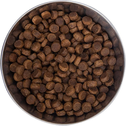 Health Extension Large Bites Dry Dog Food, Natural Food for Adult Large Breed Dogs with added Vitamins & Mineral, Chicken & Brown Rice Recipe (30 lb / 13.6 kg)
