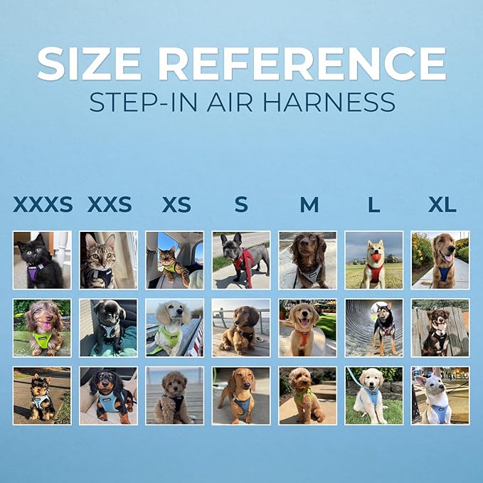 Voyager Step-In Air Dog Harness - All Weather Mesh Step in Vest Harness for Small and Medium Dogs by Best Pet Supplies - Orange, Large