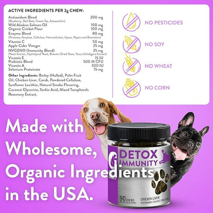 Green Gruff Dog Probiotics & Digestive Enzymes - Organic Dog Immune Supplement with Protein, Multivitamin & Omega 3 Fish Oil for Dogs - Made in USA - Dog Allergy Relief - Canine Probiotic - 90 Chews
