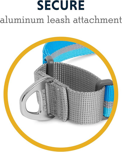 Ruffwear, Web Reaction Dog Collar, Martingale Collar for On-Leash Walking, Blue Dusk, 23"-26"