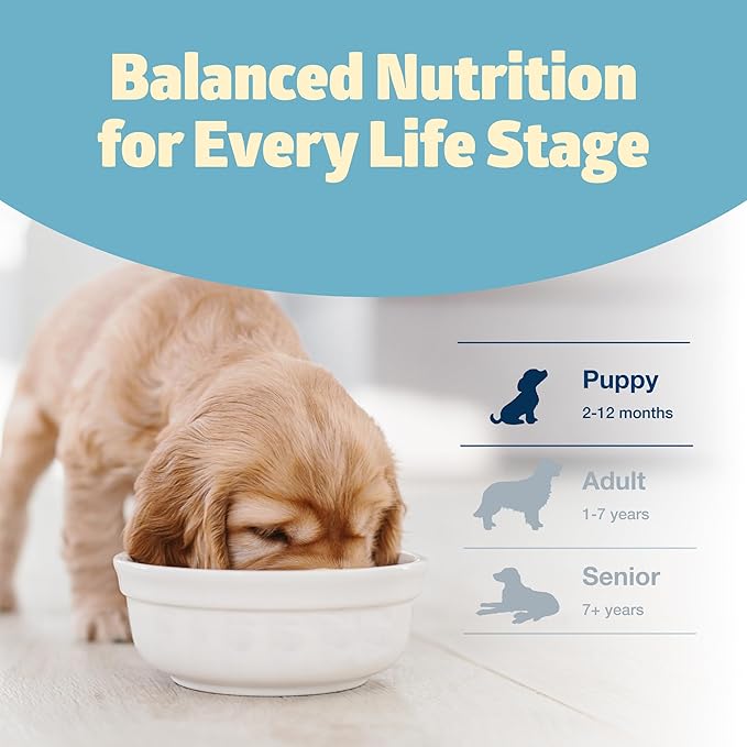 Blue Buffalo Freedom Grain-Free Puppy Dry Dog Food with DHA, Complete & Balanced Nutrition for Puppies, Made in the USA, Chicken & Potatoes, 24-lb. Bag