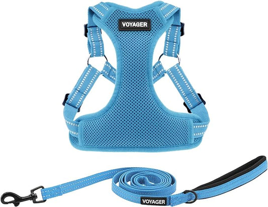 Best Pet Supplies Voyager Adjustable Dog Harness Leash Set with Reflective Stripes for Walking Heavy-Duty Full Body No Pull Vest with Leash D-Ring, Breathable All-Weather - Harness (Baby Blue), L