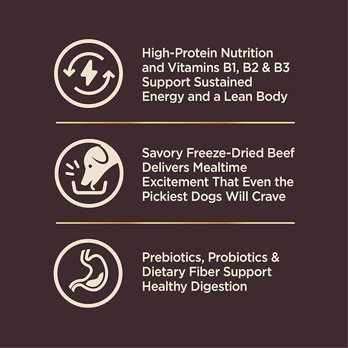Wellness CORE+ Grained Dry Dog Food, Beef & Barley Recipe, 18 Pound Bag