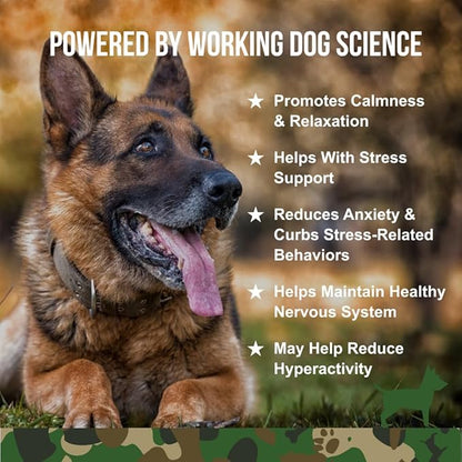 Operation Good Boy - SRE: Calming Supplement for Pets - 90 Count Soft Chews - 12.7oz - Alleviates Anxiety and Promotes Relaxation - Made Natural Ingredients - Veteran Owned