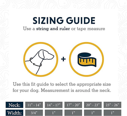 Ruffwear, Web Reaction Dog Collar, Martingale Collar for On-Leash Walking, Blue Pool, 20"-23"