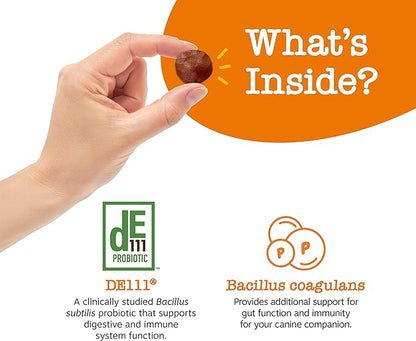 Zesty Paws Pill Wrap Probiotic Paste for Dogs - Immune & Digestive System Support - Bacon Flavor - with DE111 Bacillus subtilis - Pockets Any Pill, Tablet & Capsule for Your Dog - 60 Portions…