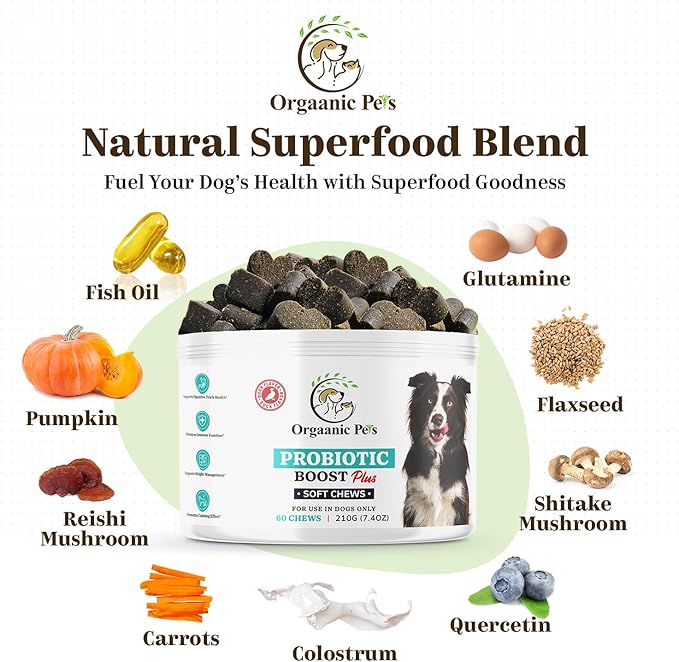 Ultimate Dog PROBIOTIC Chews - Boosts Gut Health and Eases Allergies with PROBIOTICS, POSTBIOTICS, PREBIOTICS (FOS) Inulin - Colostrum - Glutamine - Mushrooms -Pumpkin-QUERCETIN and a SUPERFOOD Blend