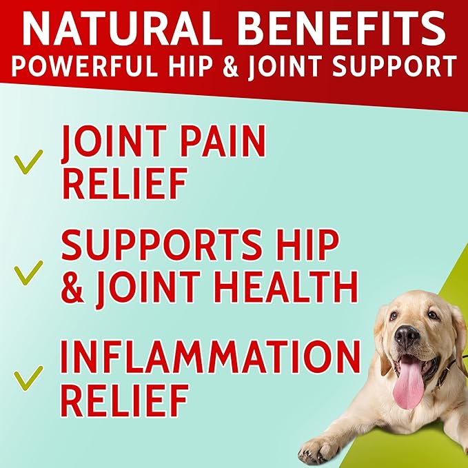 Hemp Treats for Dogs - Hip and Joint Supplement w/Glucosamine, Chondroitin, MSM, Omega 3 - Joint Pain Relief - Advanced Formula - Senior Dog Aid - Made in USA - 120 Chews