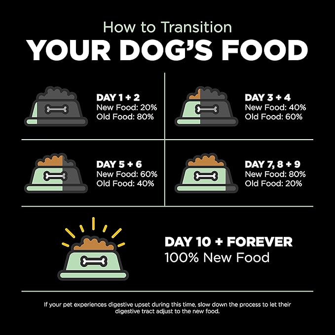 GO! SOLUTIONS Skin + Coat Care - Dry Dog Food, 22 lb - Turkey Recipe with Grains for All Life Stages - Complete + Balanced Nutrition for Dogs