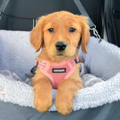 Best Pet Supplies Voyager Adjustable Dog Harness with Reflective Stripes for Walking, Jogging, Heavy-Duty Full Body No Pull Vest with Leash D-Ring, Breathable All-Weather - Harness (Pink), XL