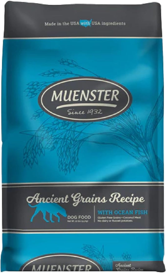 Muenster Ancient Grains Dog Food (22lb) - Ocean Fish Dry Dog Food 22 lb Bag – Gluten Free, Non-GMO High Protein Dog Food - Healthy Digestive Dog Kibble for All Life Stages