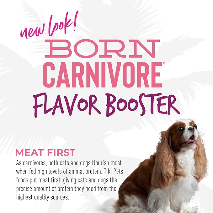 Tiki Dog Born Carnivore Flavor Booster, Salmon Recipe Bisque, Grain Free Meat Based Treat, Meal Topper for All Dog Breeds and All Life Stages, 1.5 oz Pouch, Pack of 12