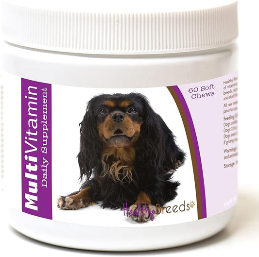 Healthy Breeds English Toy Spaniel Multi-Vitamin Soft Chews 60 Count