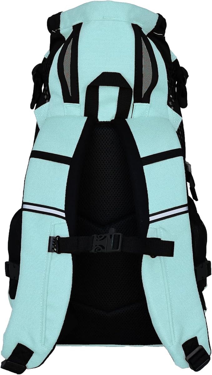 K9 Sport Sack | Dog Carrier Adjustable Backpack (Small, Plus 2 - Summer Mint)