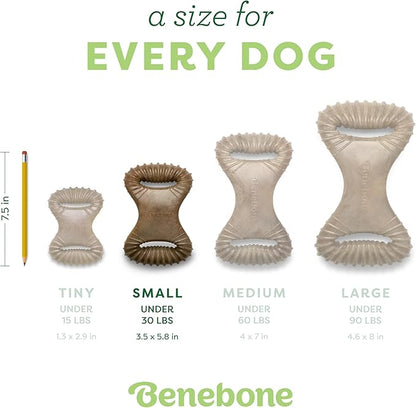 Benebone Dental Durable Dog Chew Toy for Aggressive Chewers, Real Peanut, Made in USA, Small