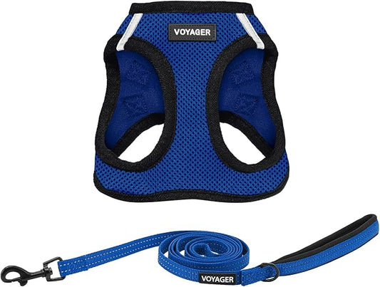 Voyager Step-in Air All Weather Mesh Harness and Reflective Dog 5 ft Leash Combo with Neoprene Handle, for Small, Medium and Large Breed Puppies by Best Pet Supplies - Royal Blue/Black Trim, XX-Small