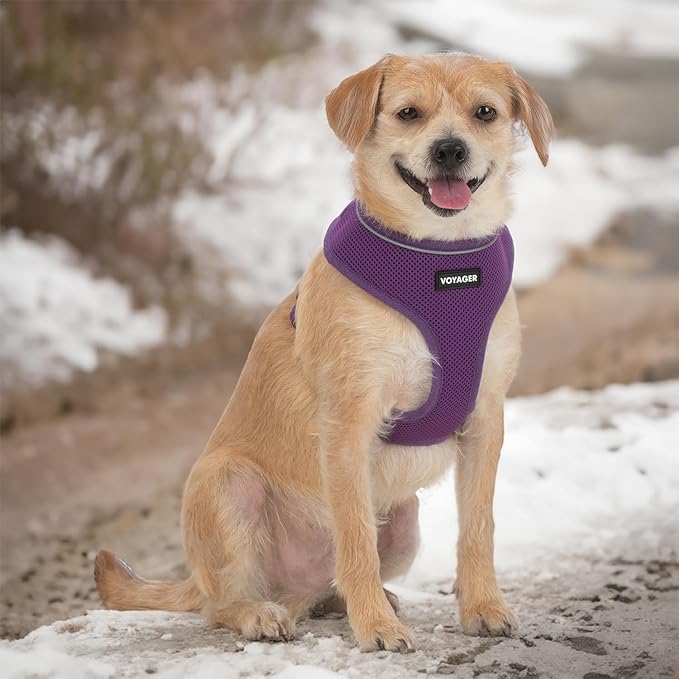 Aerolite No Pull Mesh Dog Harness with Lightweight, Soft, Breathable Chest Coverage, Reflective Stitching, and Adjustable Straps for Walking, Running, Training, Heavy Duty and Durable - Purple, S