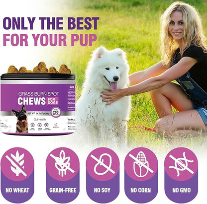 Grass Burn Spot Chews for Dogs Dog Pee Grass Neutralizer 200 Green Grass Dog Chews Dog Pee Lawn Spot Saver for Grass Burn Spots Dog Urine Neutralizer for Lawns with Probiotics Digestive Enzymes