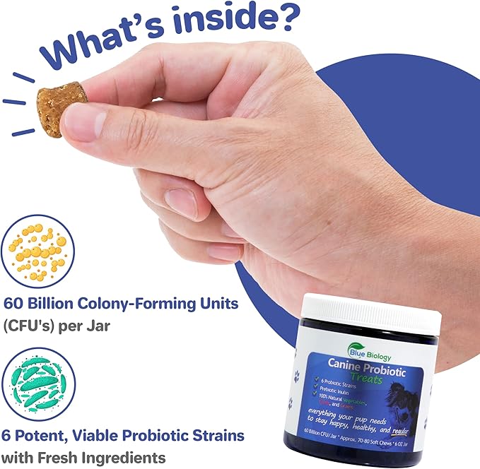 Canine Probiotic Chews for Dogs - Vet Formulated for Digestive & Diarrhea Support - Dog Probiotics for Diarrhea - Probiotics Dog Treats - Dog Digestive Support - Canine Probiotic - (60ct)