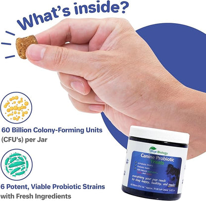 Canine Probiotic Chews for Dogs - Vet Formulated for Digestive & Diarrhea Support - Dog Probiotics for Diarrhea - Probiotics Dog Treats - Dog Digestive Support - Canine Probiotic - (60ct)