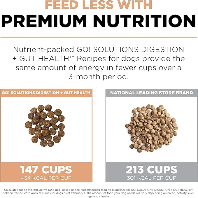 GO! SOLUTIONS Digestion + Gut Health Salmon Recipe with Ancient Grains for Dogs, 22 lb Bag - Dry Food for All Life Stages, Including Puppies, Adult and Senior Dogs