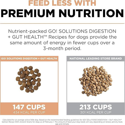 GO! SOLUTIONS Digestion + Gut Health Salmon Recipe with Ancient Grains for Dogs, 22 lb Bag - Dry Food for All Life Stages, Including Puppies, Adult and Senior Dogs