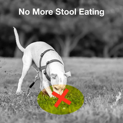 Deter-X Dog Poop Eating Deterrent - Chew Treats for Poo Eating Prevention - Yucca, Parsley, Chamomile, Digestive Enzymes, Prebiotics, Probiotics for Dogs - Puppy & Dog Stuff - 60 Bites