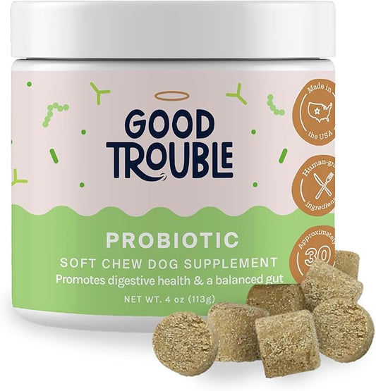 Good Trouble Pets Probiotic Supplement for Dogs - Chicken Flavor, 30 Chews - Enhanced Digestive Support