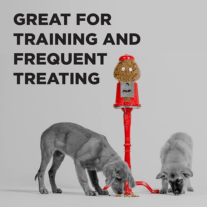 BIXBI Pocket Trainers, Chicken (6 oz, 1 Pouch) - Small Training Treats for Dogs - Low Calorie and Grain Free Dog Treats, Flavorful Pocket Size Healthy and All Natural Dog Treats