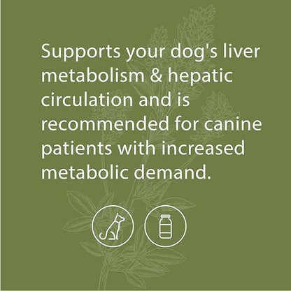 Standard Process - Canine Hepatic Support - Liver Metabolism Support for Dogs - 30 Grams
