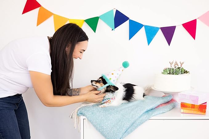 Pearhead Birthday Pup S/M Bandana Hat Set, Pet Birthday Gift, Dog Birthday Party Accessories, Party Hat and Bandana for Dogs, Pet Owner Must Have Accessories, Small/Medium
