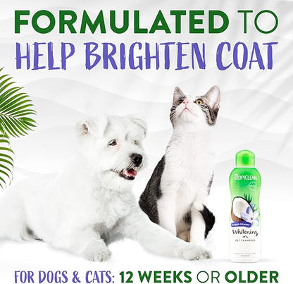 TropiClean Awapuhi Coconut Whitening Dog Shampoo for White Coats & All Coat Types | Natural Pet Shampoo Derived from Natural Ingredients | Cat Friendly | Made in the USA | 20 oz.