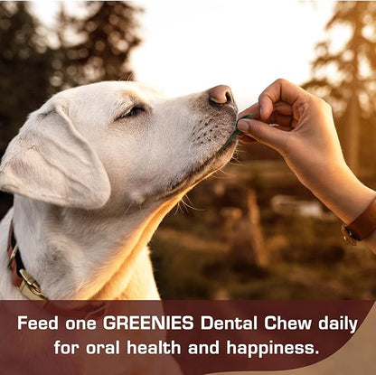 UrbanX HealthyBones Original Natural Dog Dental Care Mint Snacks Oral Health Dog Food for Cavalier King Charles Spaniel and Other Small Companion Dogs, 15 Count