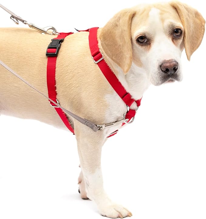 PetSafe Sure-Fit Harness – Five Point Adjustable Dog Harness – from The Makers of The Easy Walk Harness – Medium, Red