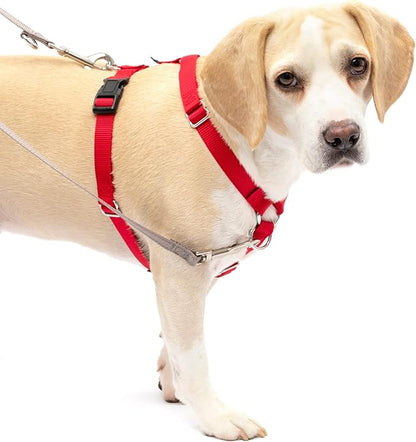 PetSafe Sure-Fit Harness – Five Point Adjustable Dog Harness – from The Makers of The Easy Walk Harness – Medium, Red