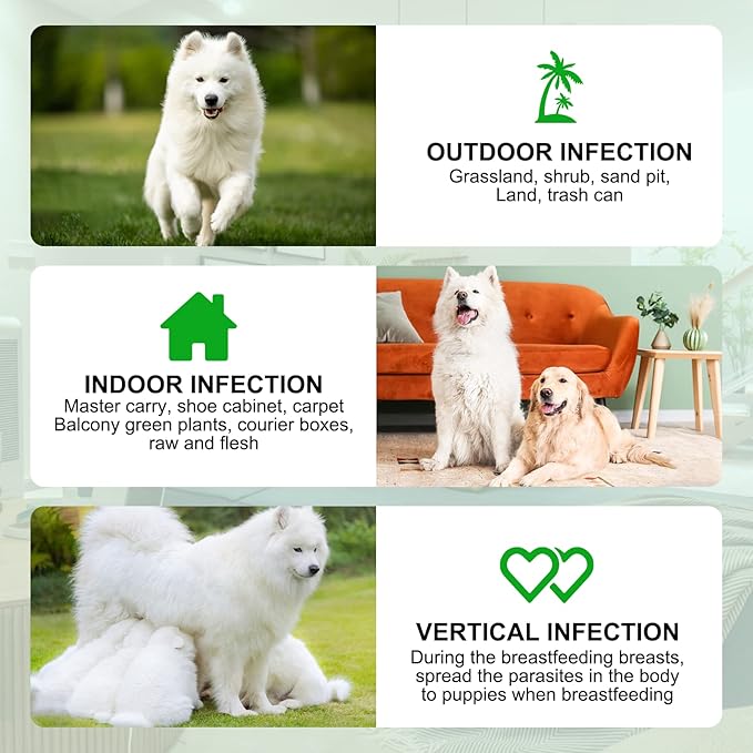 150pcs Flea & Tick Prevention for Dogs Chewable - Dog Flea & Tick Control - Flea and Tick Supplement for Dogs - Flea and Tick Chews for Dogs, Oral Flea Pills for All Breeds and Ages Dogs