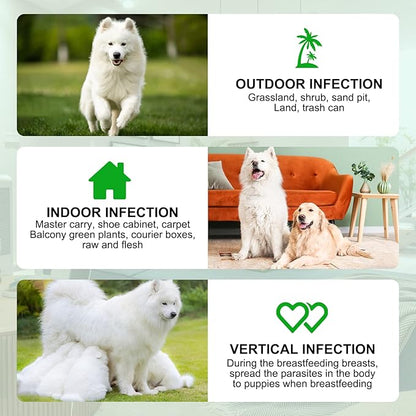 150pcs Flea & Tick Prevention for Dogs Chewable - Dog Flea & Tick Control - Flea and Tick Supplement for Dogs - Flea and Tick Chews for Dogs, Oral Flea Pills for All Breeds and Ages Dogs